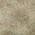 Beige color or pattern variation