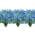 Blue color or pattern variation