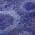 Purple color or pattern variation