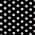 Black and Black Polka Dot Canvas