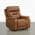 Saddle color or pattern variation