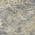 Gray color or pattern variation