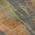 Orange color or pattern variation