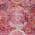 Pink color or pattern variation
