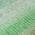 Fern color or pattern variation