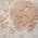 Coral color or pattern variation