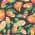 Tropical Fruit color or pattern variation