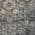 Gray color or pattern variation