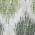 FERN color or pattern variation