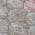 Brown color or pattern variation