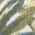 Ivory Green color or pattern variation