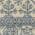 Light Blue color or pattern variation