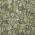 Olive color or pattern variation