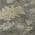 Gray color or pattern variation