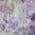 Purple color or pattern variation