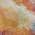 Orange color or pattern variation