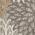 Natural color or pattern variation