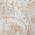CORAL color or pattern variation