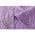 Lavender color or pattern variation