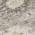 Silver color or pattern variation