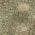 Olive color or pattern variation