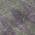 Plum color or pattern variation