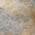 Gray color or pattern variation