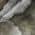 Gray color or pattern variation