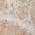 Coral color or pattern variation