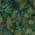 Green color or pattern variation