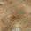 Copper color or pattern variation