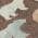 Chocolate color or pattern variation
