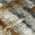 Taupe color or pattern variation