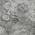 Gray color or pattern variation