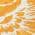 Orange color or pattern variation