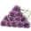Purple color or pattern variation
