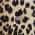 Leopard color or pattern variation