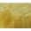 CANARY color or pattern variation