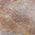 Blush color or pattern variation