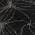 Black color or pattern variation