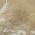 Gold color or pattern variation
