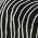 Black color or pattern variation