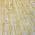 Gold color or pattern variation