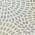 Ivory color or pattern variation