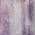 Purple color or pattern variation