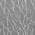 Ash Grey color or pattern variation