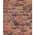 Red color or pattern variation