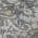 Gray color or pattern variation