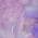 Purple color or pattern variation
