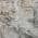 Gray color or pattern variation